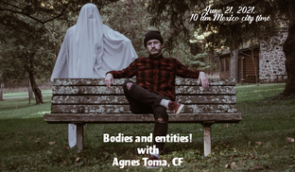 Entities and bodies